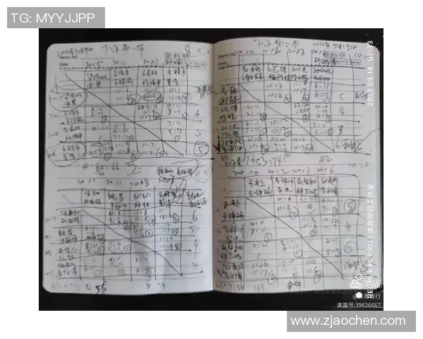 南京羽毛球队在冠军赛中的比赛经验与表现分析 南京羽毛球队在冠军赛中的比赛经验与表现分析