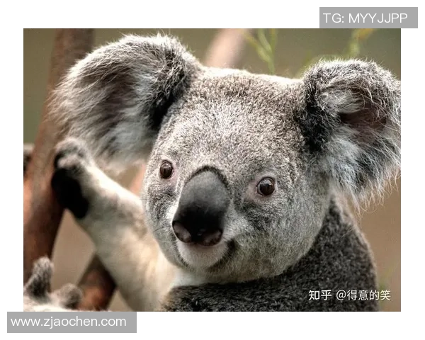 潮汕地区足球明星搞笑名字大盘点让你捧腹大笑的球场传奇 潮汕地区足球明星搞笑名字大盘点让你捧腹大笑的球场传奇