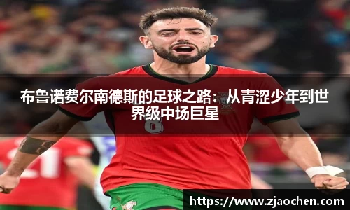 emc易倍