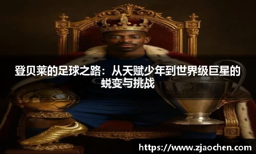 emc易倍体育